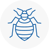 Bed Bug Extermination In Armthorpe