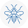 Armthorpe Hornet Nest Removals
