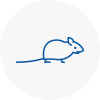 Mice Exterminators In Armthorpe