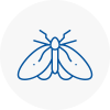 Moth Control Specialists In Armthorpe