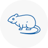 Rat Control Armthorpe