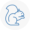 Armthorpe Rodent Removals
